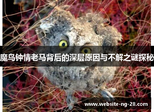 魔鸟钟情老马背后的深层原因与不解之谜探秘 魔鸟钟情老马背后的深层原因与不解之谜探秘